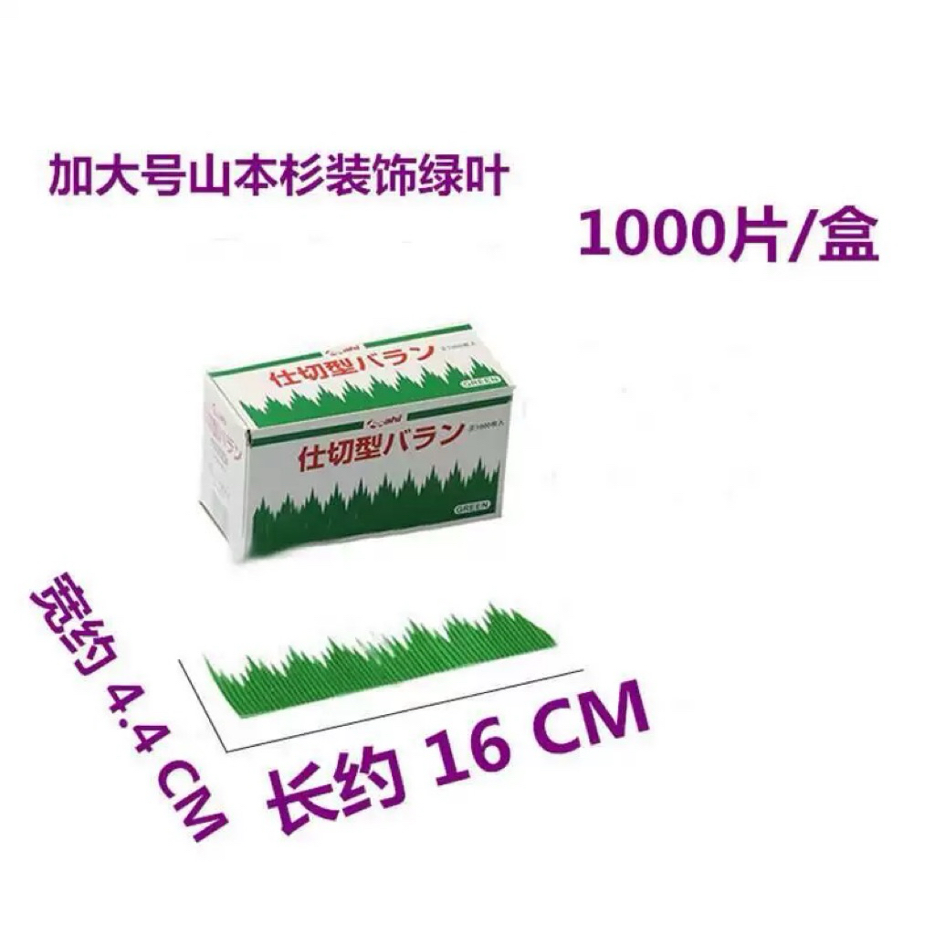 加大號三本杉1000入