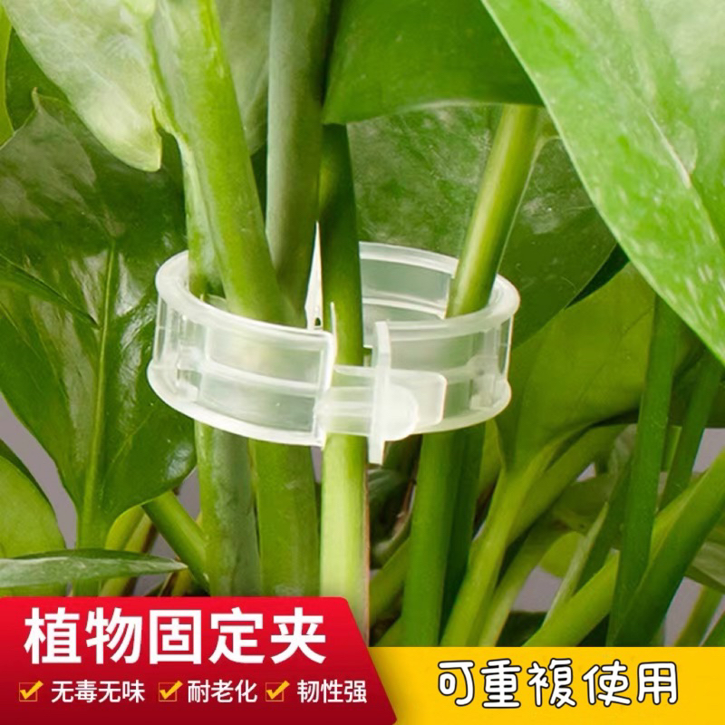 植物固定夾 固定器 枝條夾 園藝造景 快速卡扣 園藝用品 菜園蔬菜種植 植物枝條固定 藤蔓固定夾